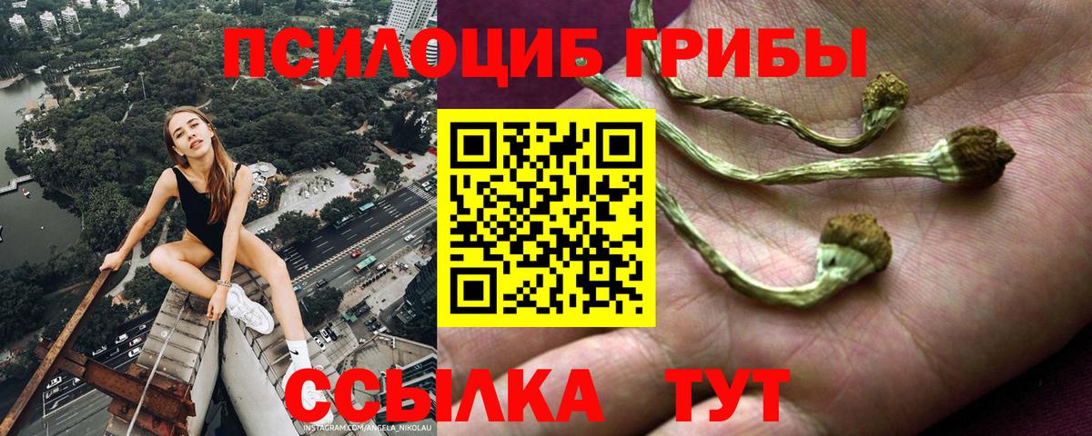 Ессентуки  Галлюциногенные грибы Psilocybe  Вход с VPN  Псилоцибиновые грибы мухоморы 